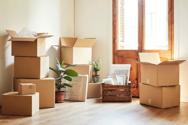 Moving boxes and potted plants at new apartment Cardboard boxes and potted plants in empty room. Moving objects are on hardwood floor of new apartment. apartment movers stock pictures, royalty-free photos & images