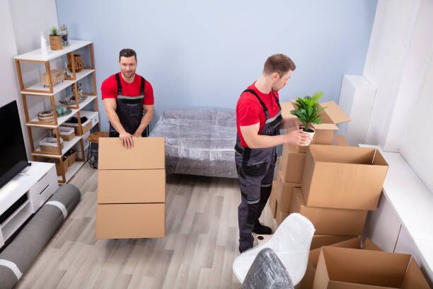 Movers Packing The Products In The Living Room Portrait Of Young Male Mover Packing The Products In The Cardboard Boxes long distance movers stock pictures, royalty-free photos & images