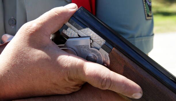 The hunter holds a two-barrel shotgun. Sports stelb on plates in the dash. Clay target shooter. The hunter holds a two-barrel shotgun. Sports stelb on plates in the dash. Clay target shooter. gun safe stock pictures, royalty-free photos & images