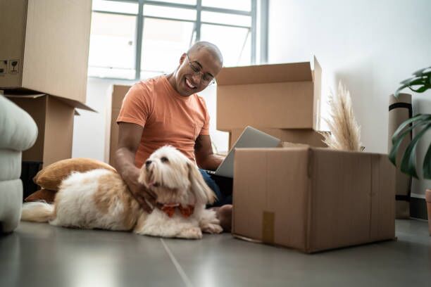 Young man using laptop, enjoying dog and moving house Young man using laptop, enjoying dog and moving house smaller pets stock pictures, royalty-free photos & images