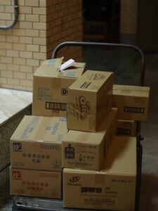 Terrell Local Moving Companies