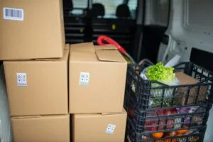 Plano Safe Movers
