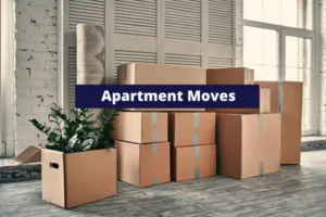 Apartment Movers Plano https://www.google.com/maps?cid=14106793329584813839 5700 Tennyson Parkway, Plano, TX, USA