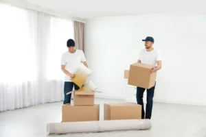 Plano Delivery Movers